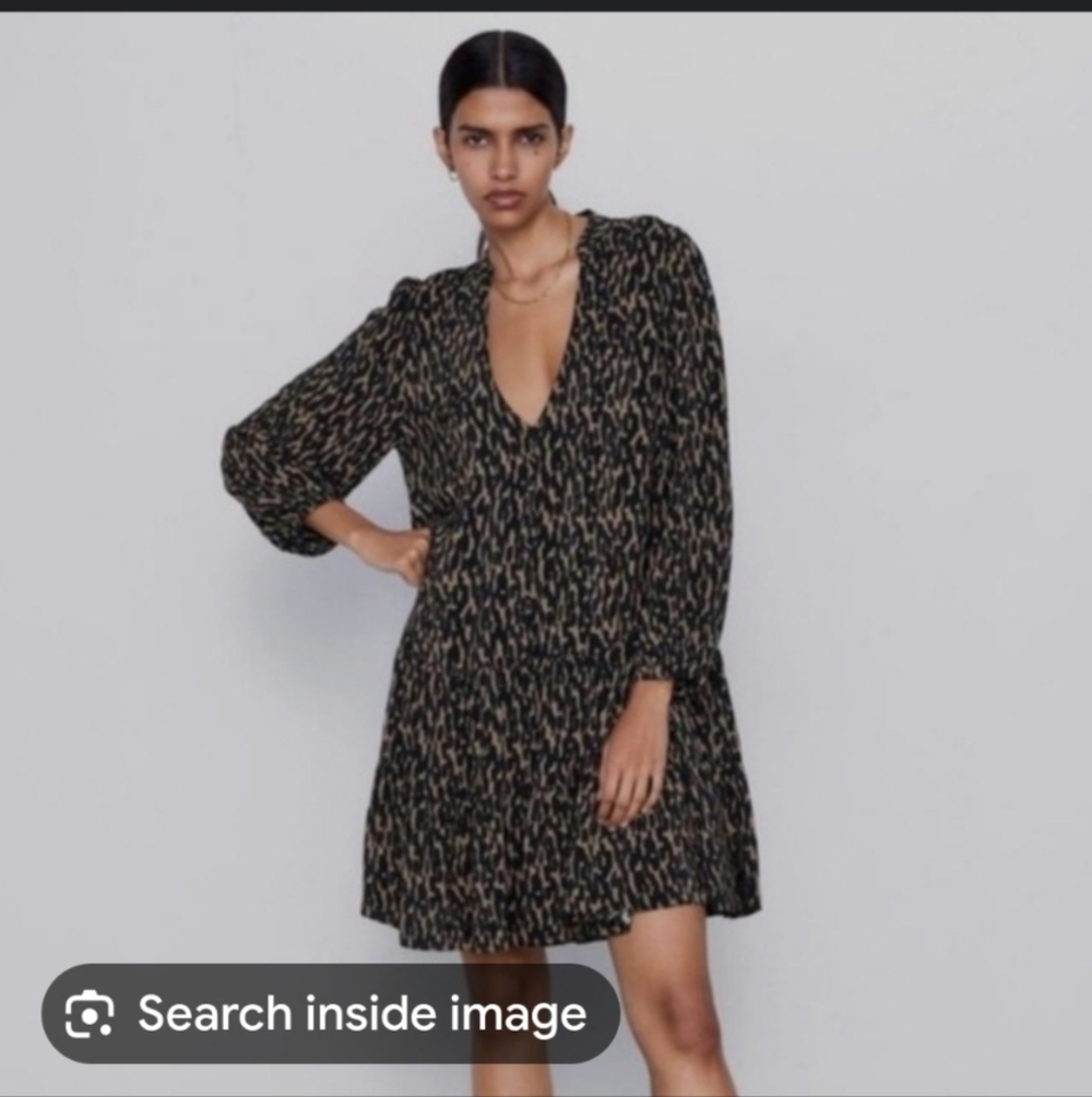Zara The Claris Mini Dress